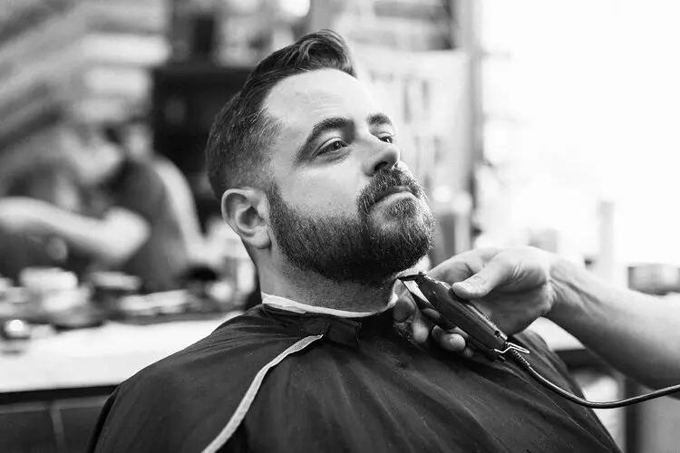 Hudson Hawk Beard Grooming